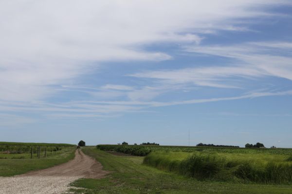 Energy Farm